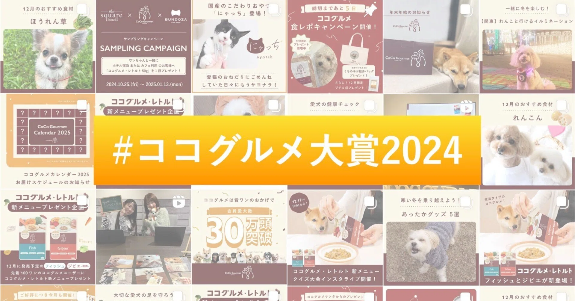 ココグルメSNS大賞2024を発表します！｜愛犬愛猫の手づくりごはん