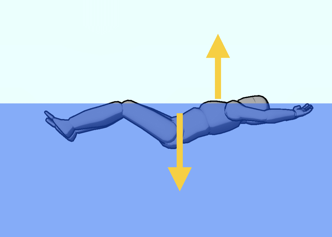 水を制する水泳進化論～理解して上達できる「姿勢」トレーニング～ 水を制する