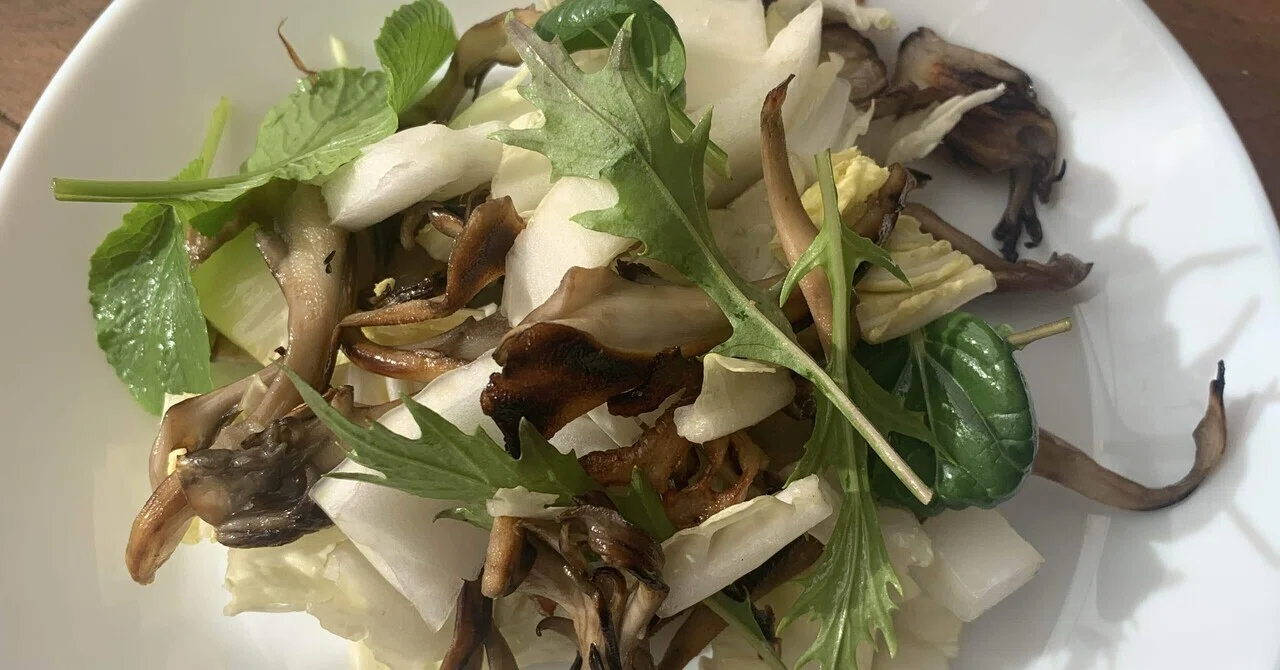 Exquisite Salad Made with the Inner Leaves of Napa Cabbage｜おたか