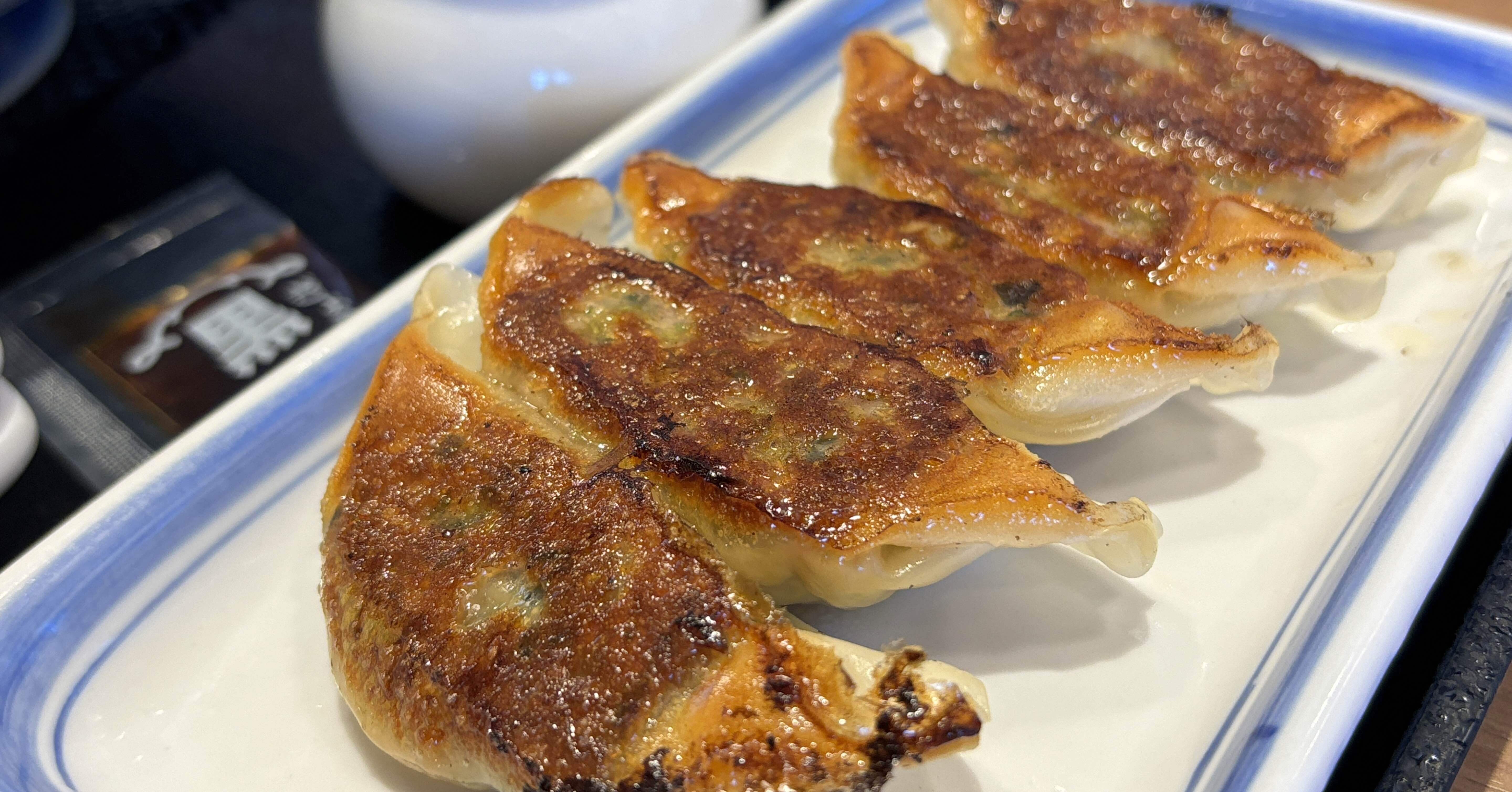 餃子プリンス フーディ】スケボーGYOZA｜すべての商品｜TOCHIGI.MARKET
