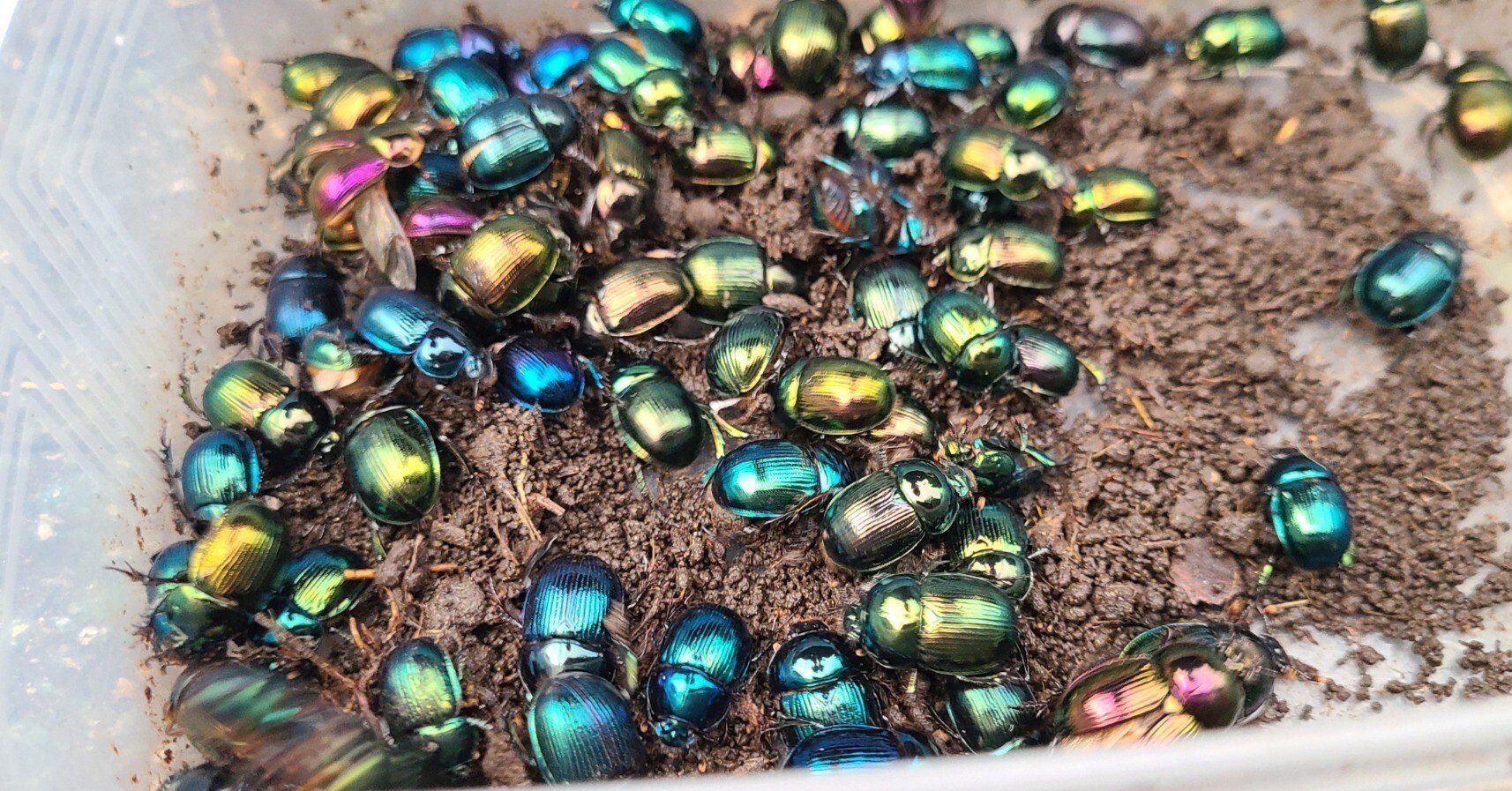 cc4a19ed767c3f82bf7938d8cdcc73