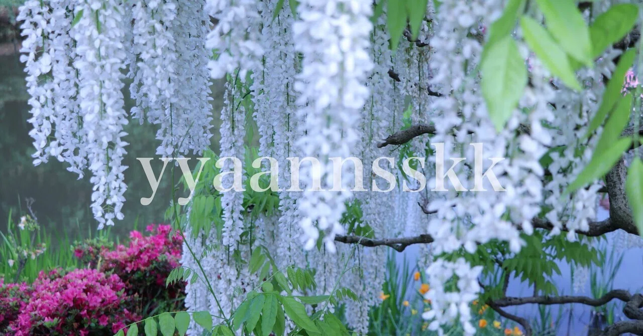 妨げ出づる幸|yyaannsskk