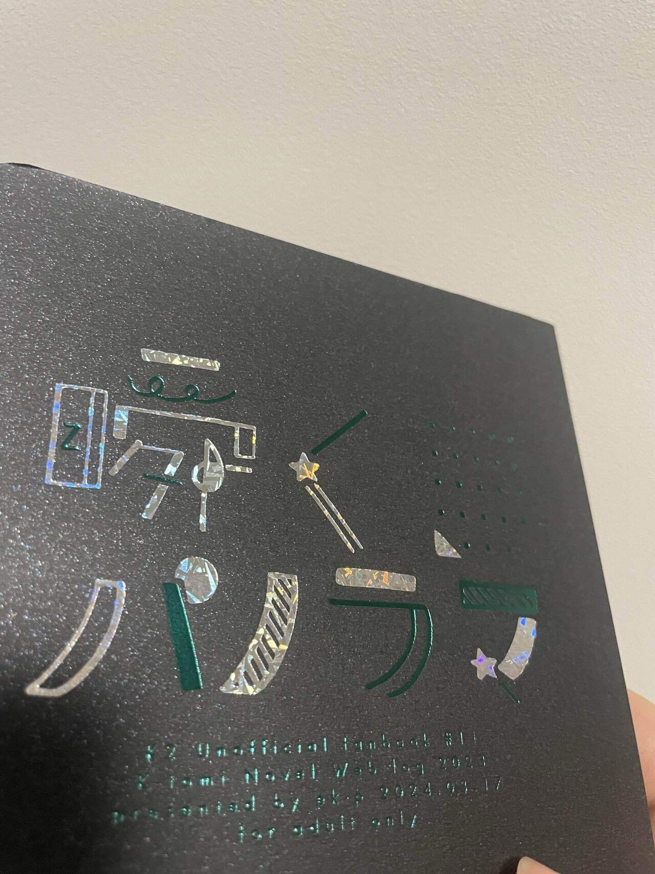 ウスイブック装丁備忘録2024（前編）｜残像