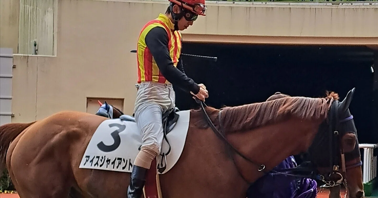 2024年 障害レース 個人的ベスト20｜naka@競馬