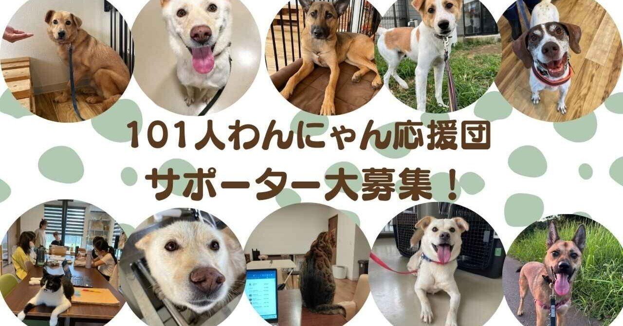キドックスの新たな挑戦を全国へ広げるサポーター募集中｜認定NPO法人