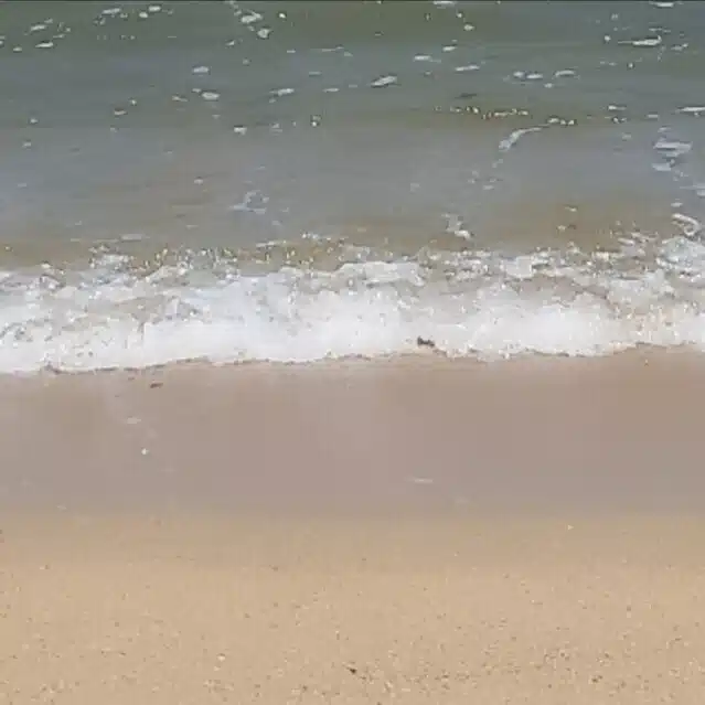 光