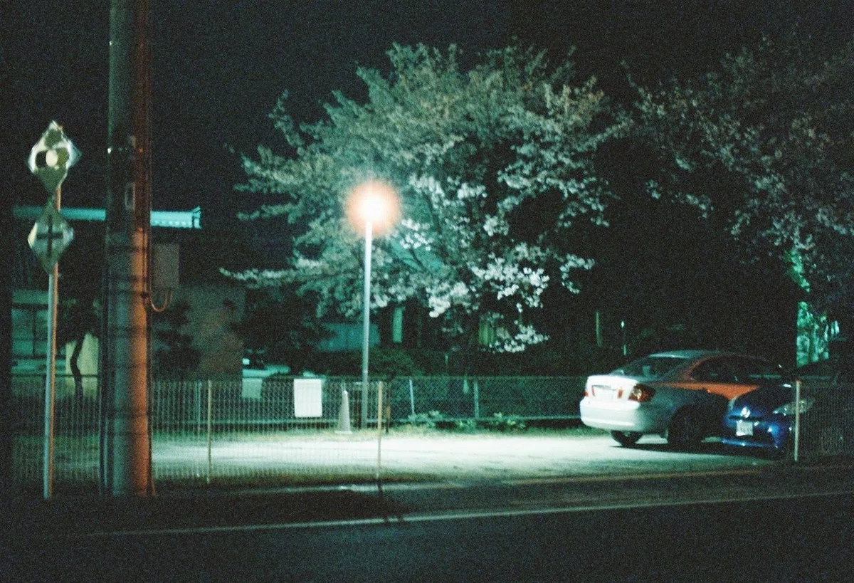 ç»å31