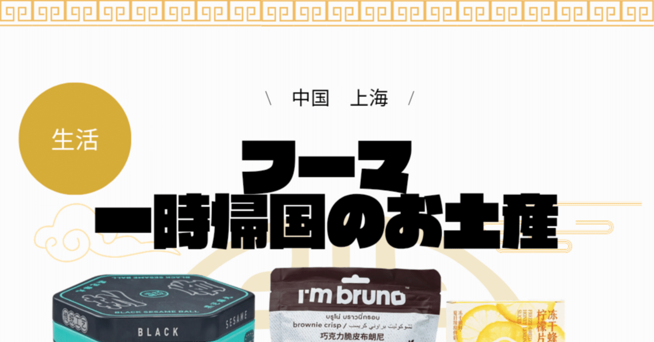 全国どこでも送料無料！ フーマ 一時帰国のお土産｜パンダニーハオ その他