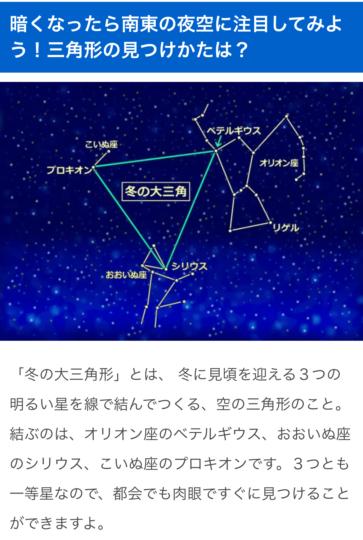 惑星を知り、星を知り、木や草花を思う。｜asumin〜龍を探して〜