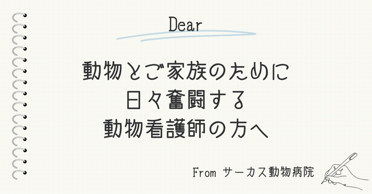 手紙 〜動物とご家族のために日々奮闘する動物看護師の方へ〜 eyecatch