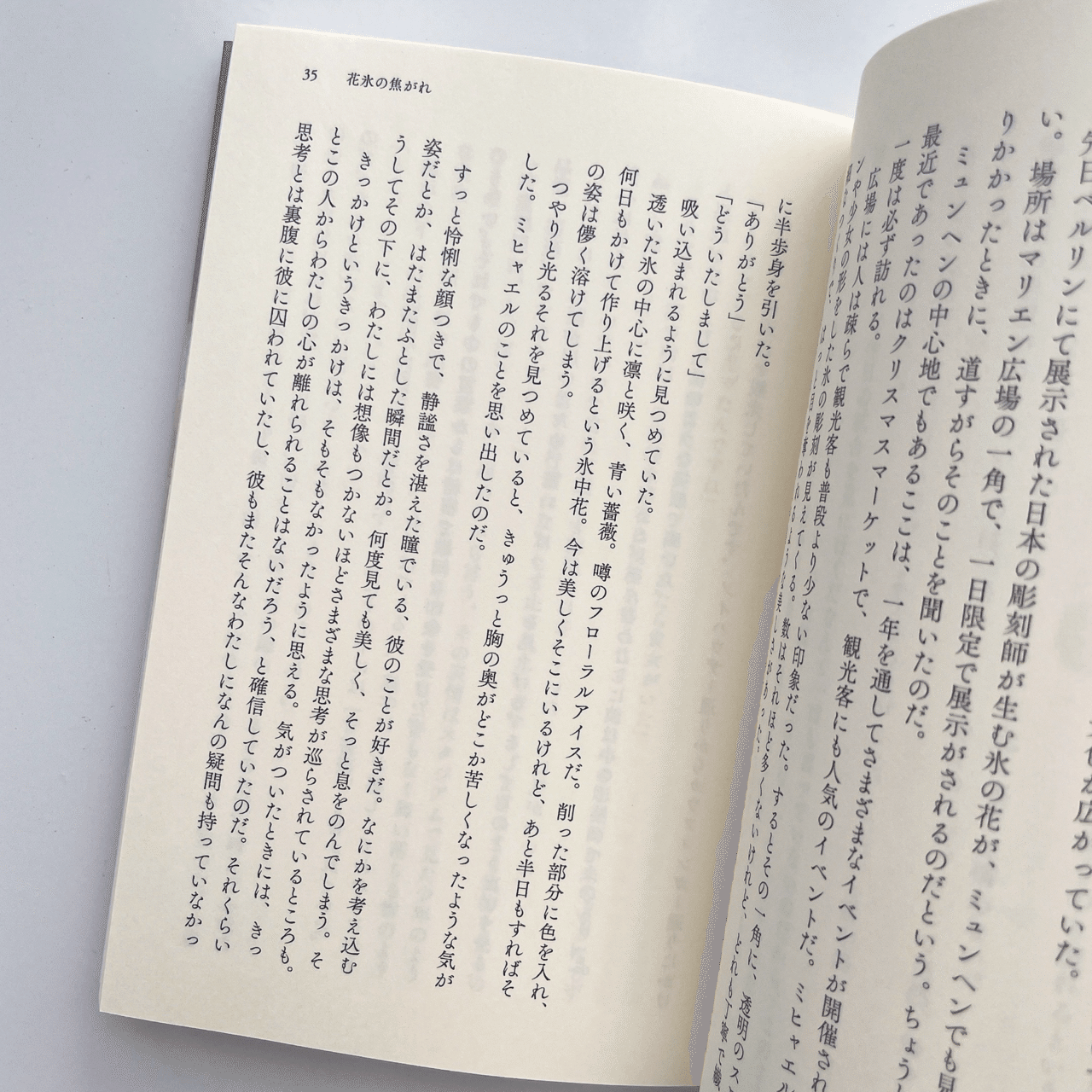 書体の研究 vol.4からvol.13までまとめ 同人誌装丁まとめ｜2024｜かさね