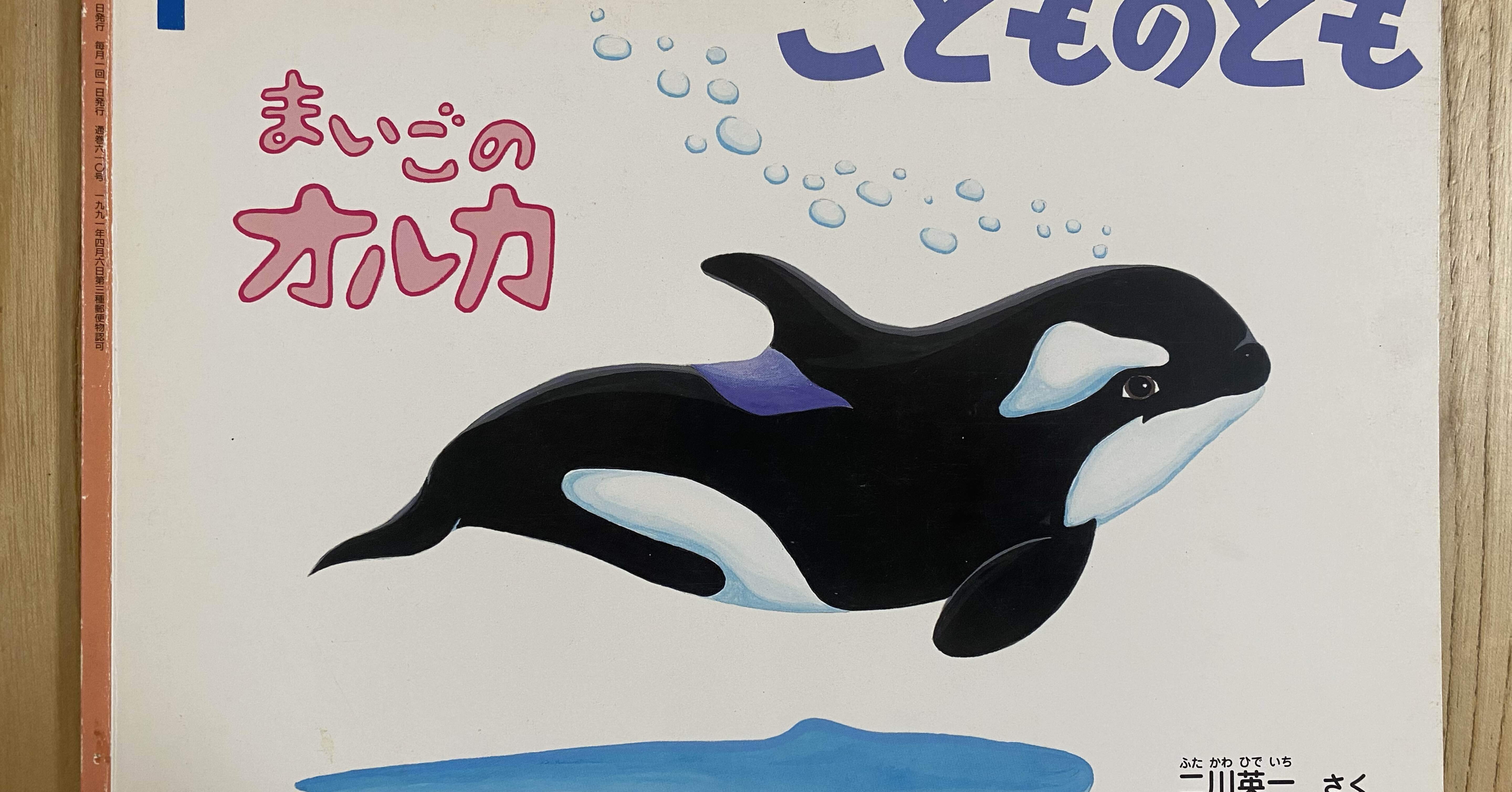たくさんのふしぎ　オルカの夏　二川英一　福音館　シャチ たくさんのふしぎ オルカの夏 二川英一 福音館 シャチ オルカの夏｜