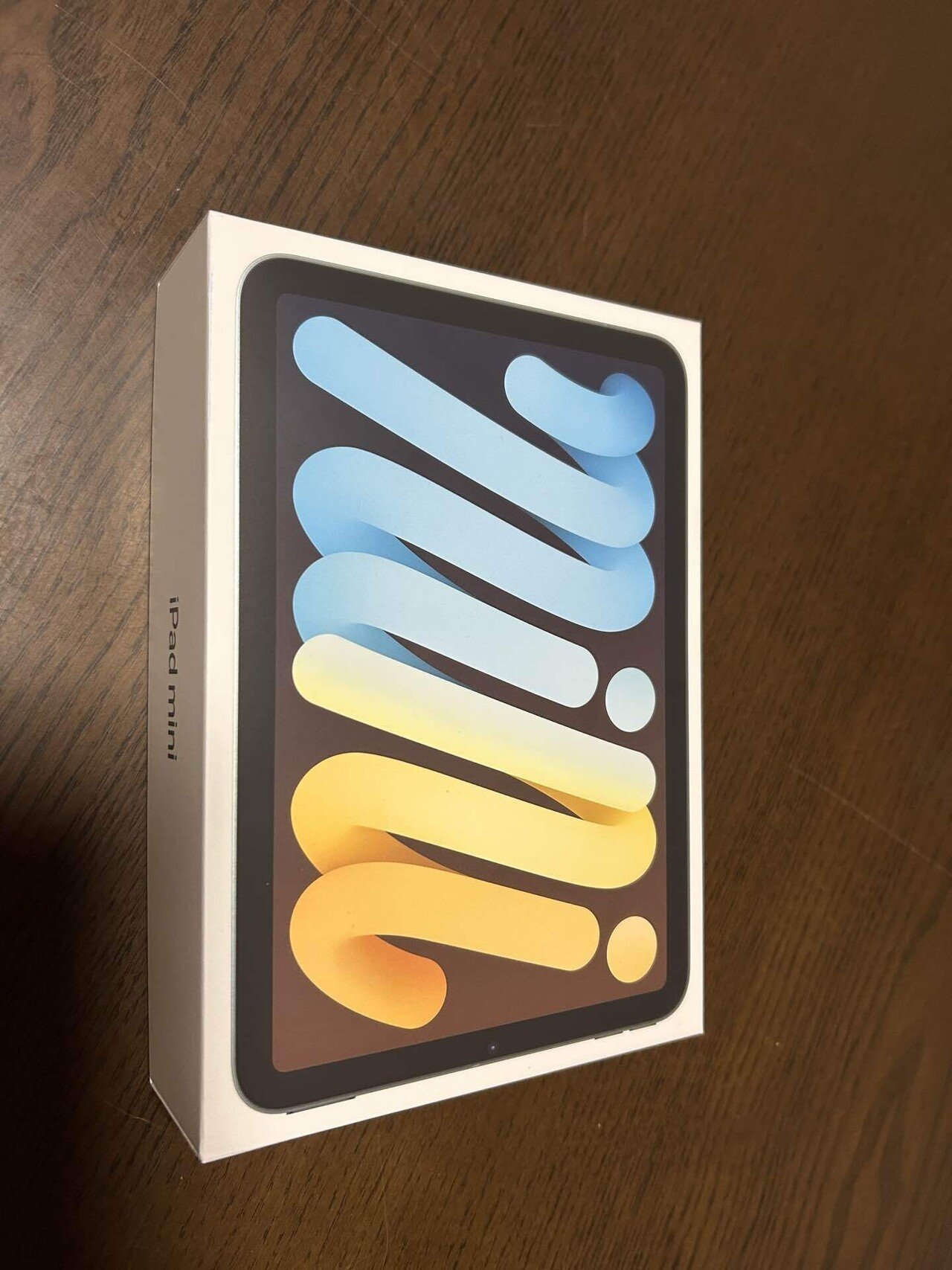 結局買ってしまいました！iPad mini7セルラーモデルの初レビュー