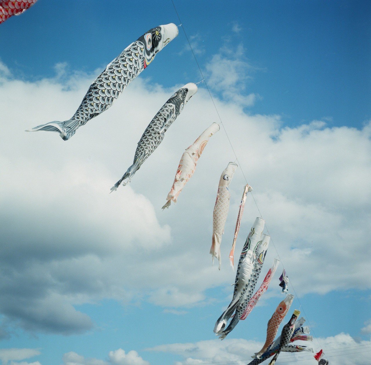 ＜作例あり＞Rollei cord IV 4 型 75mm F3.5 Rolleicord IV - フィルムカメラレビュー その2｜Hisa Foto