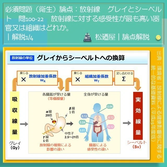 スライド16