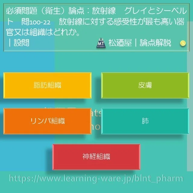 スライド13