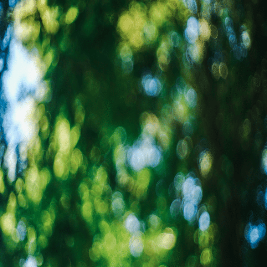 オールドレンズ】Helios 44-2 58mm f2.0を布教させてください