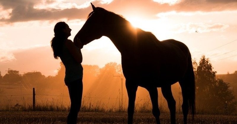 2歳牝馬チャンピオン レシステンシアの地を這う走りを実現させてているモノ 一口馬主マスターb Note