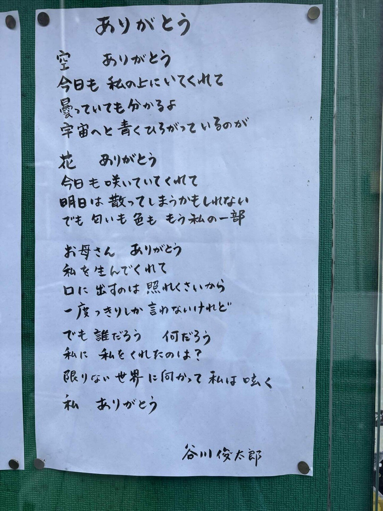 奥様画像掲示板 墓参り｜Katy