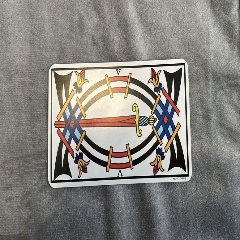 毎日マルセイユタロット】何度も出るソードに日々囚われて生きてることを実感するし、現実に弱すぎる｜HIKO
