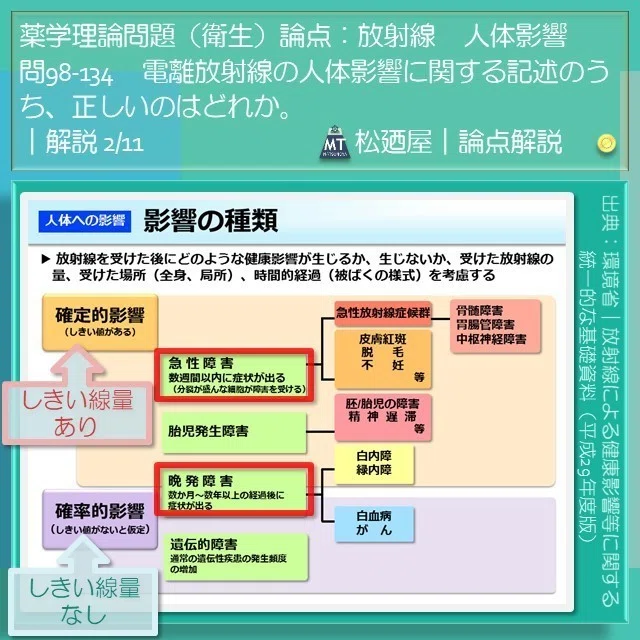スライド5