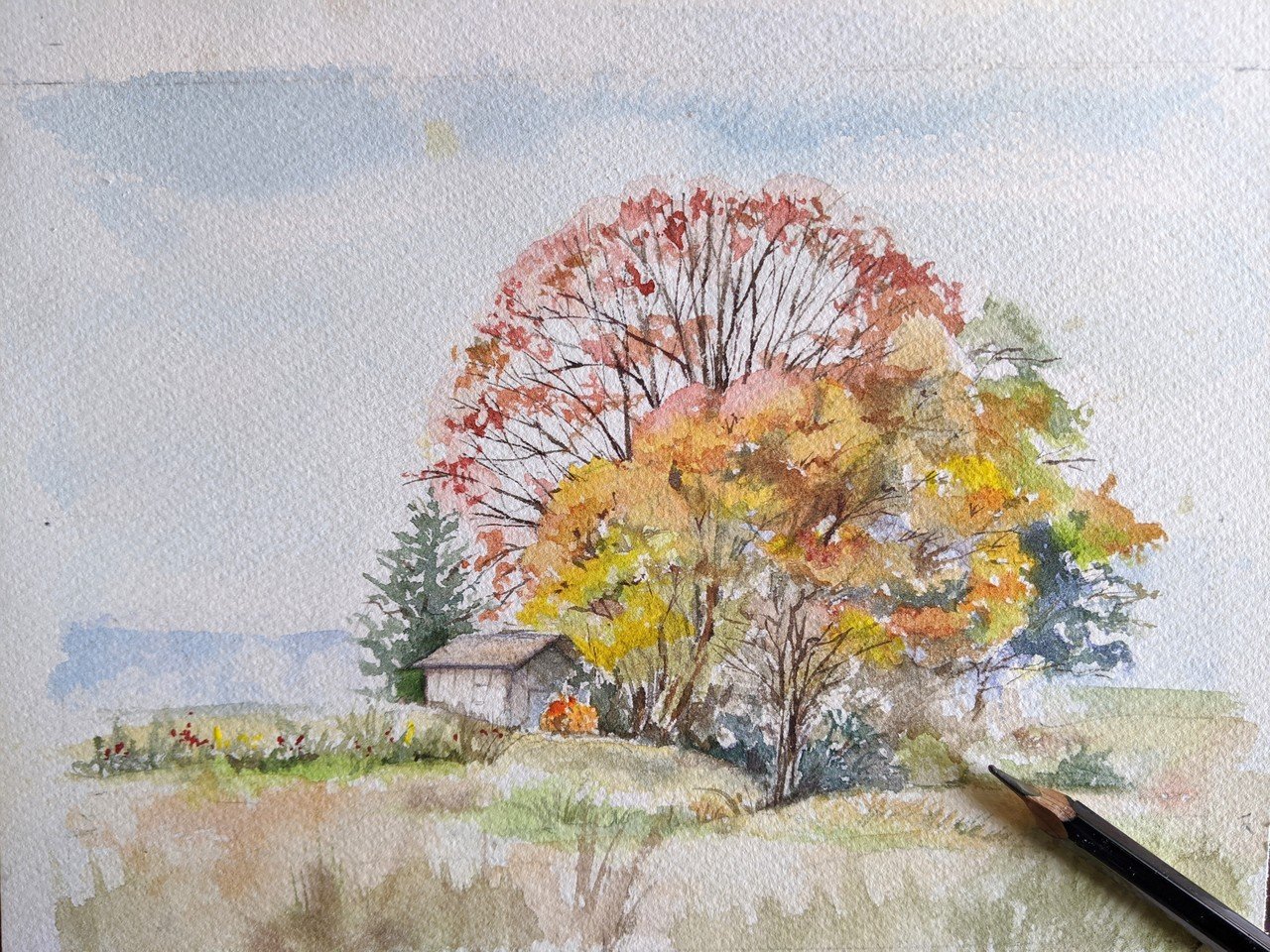 昨日の簡単な風景画 再チャレンジ 手前の枯れ木がないほうが良かったな とまた画面整理してまた描くでしょう 思い切りが肝要ね 昨日くらい全体省略して木を描き込んだらいいのかな 風景画って引き算だな 笑い猫 細村誠 Note