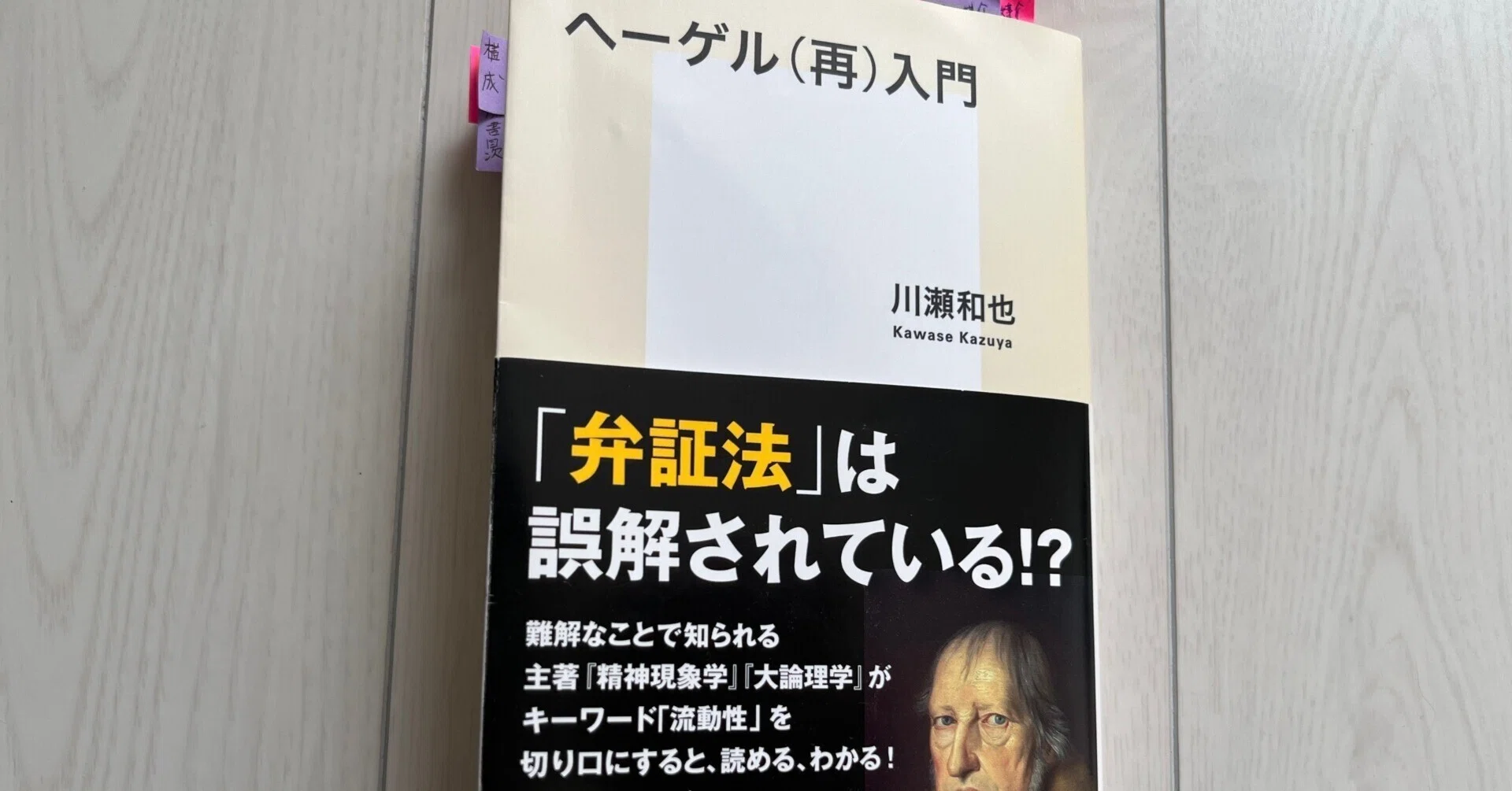 令和の決定版!? 川瀬和也『ヘーゲル＜再＞入門』を読んで｜ラファ鉄