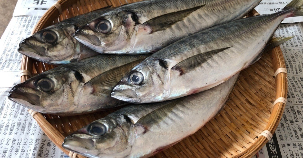 私がサカナをさばくワケ 美味しく無駄なく魚を食べたい 古谷 真知子 家庭料理コンサルタント Note 私がサカナをさばくワケ 美味しく無駄なく魚を食べたい 古谷 真知子 家庭料理コンサルタント Note
