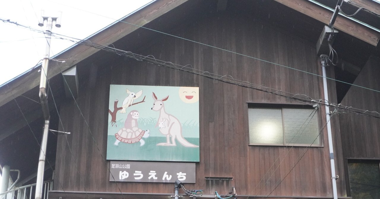 福井の桜「足羽山公園」約3500本のサクラが咲き誇る～福井市