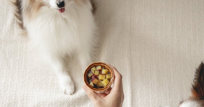 切って混ぜるだけ さつまいも葛きんとん 手作り犬おやつレシピ 単品購入 いちかわあやこ 犬ごはん先生 Note