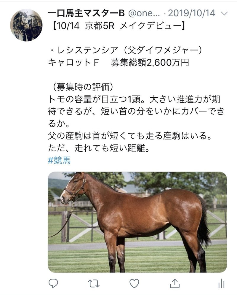 2歳牝馬チャンピオン レシステンシアの地を這う走りを実現させてているモノ 一口馬主マスターb Note