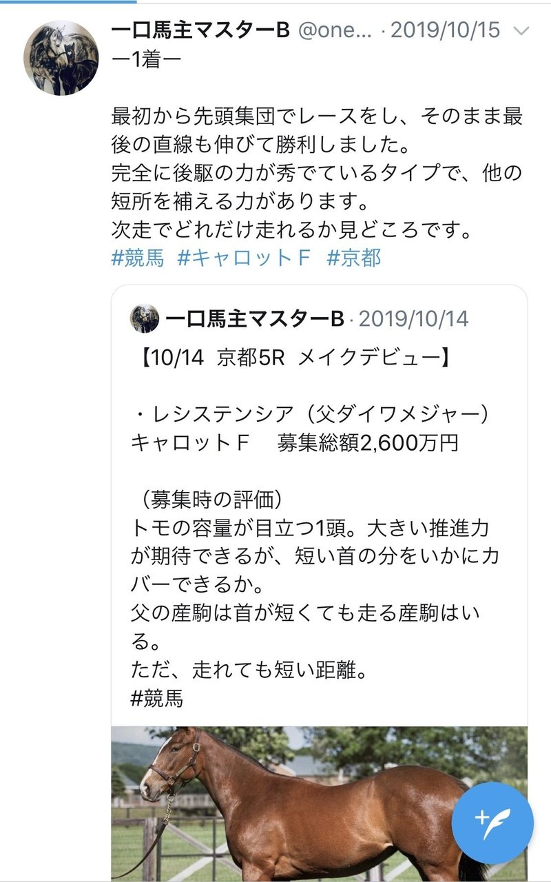 2歳牝馬チャンピオン レシステンシアの地を這う走りを実現させてているモノ 一口馬主マスターb Note