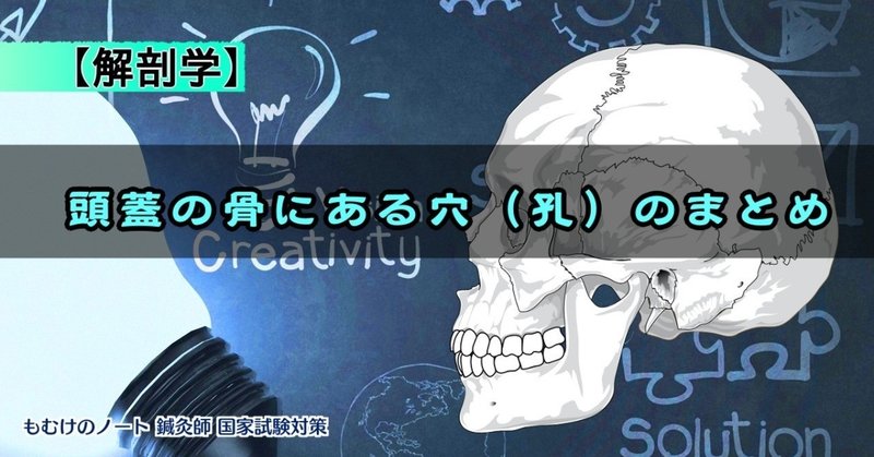 解剖学 図解 イラスト とゴロで簡単 頭蓋の骨にある穴をとおるものまとめ の覚え方 森元塾 国家試験対策 Note 解剖学 図解 イラスト とゴロで簡単 頭蓋の骨にある穴をとおるものまとめ の覚え方 森元塾 国家試験対策 Note