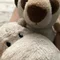 カバ子と、ドイツと、世界と。