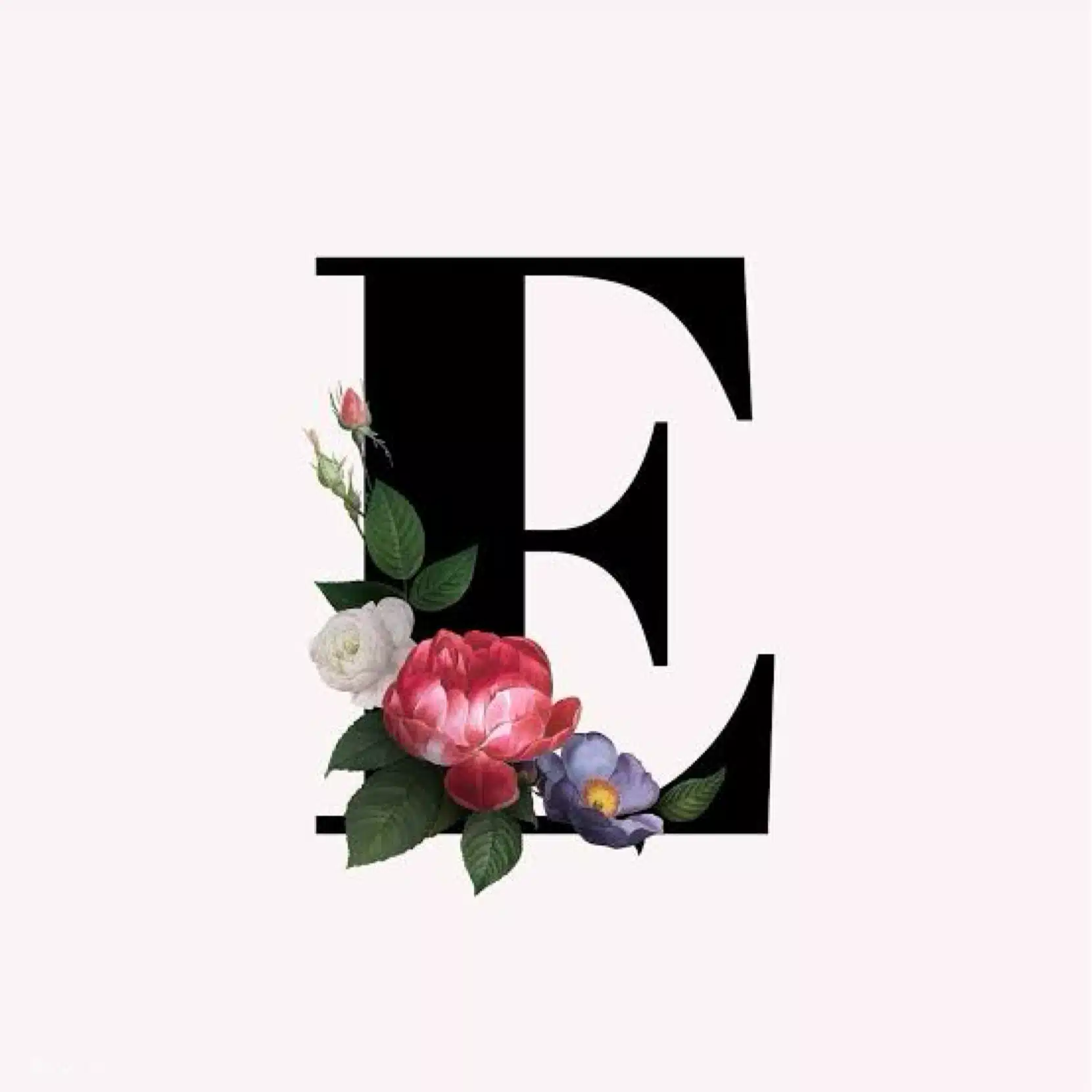 Esther🌷