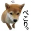 ぺこり🐕野良_守る会サポーター