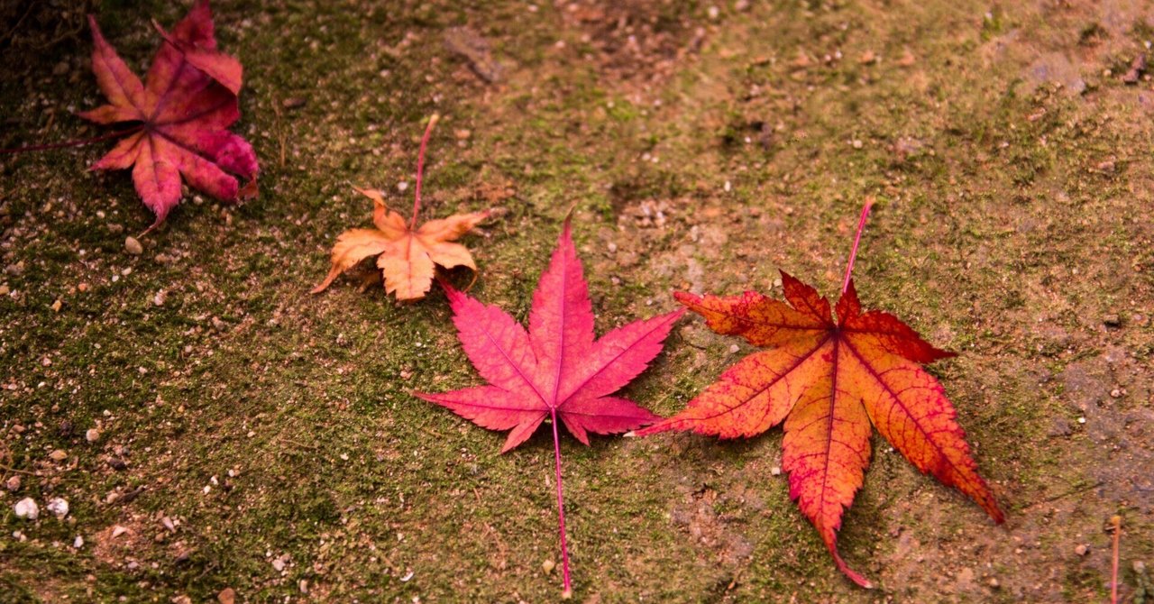 ECC  経済学　編入　テキスト ECC経済学テキスト ミクロマクロ ECC ミクロ経済/マクロ経済