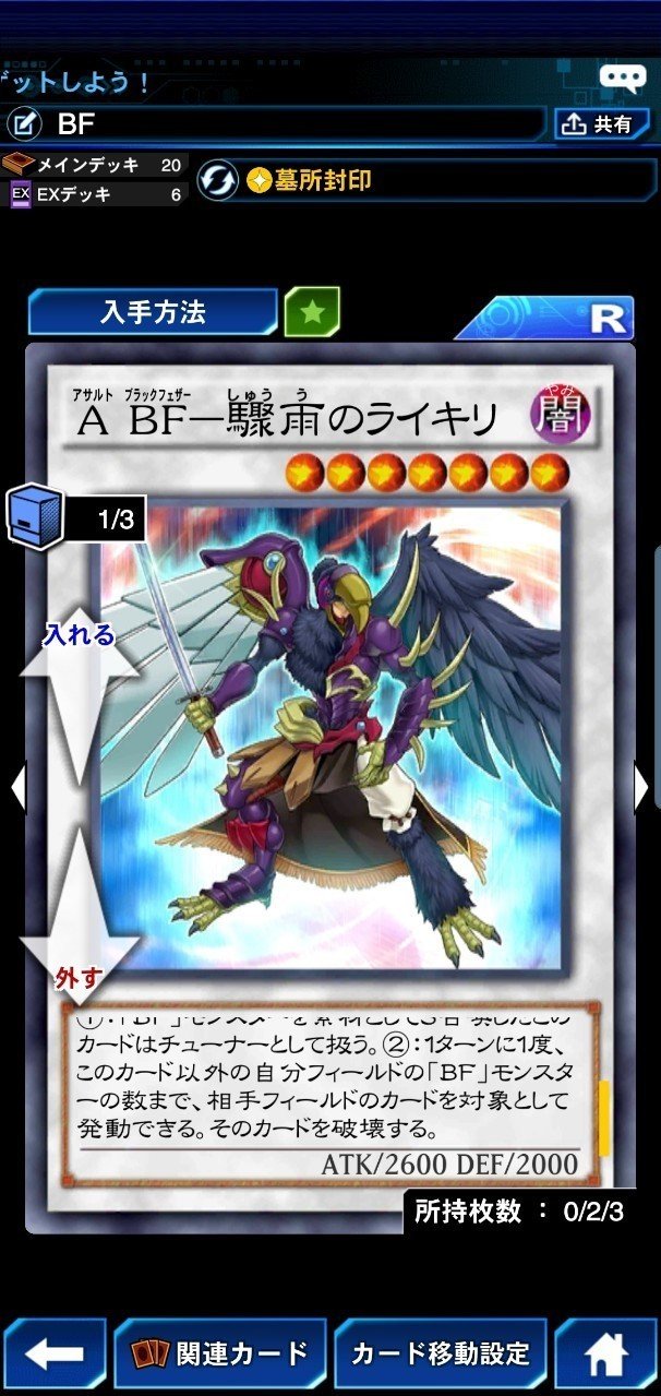BF構築理論｜ルーキー