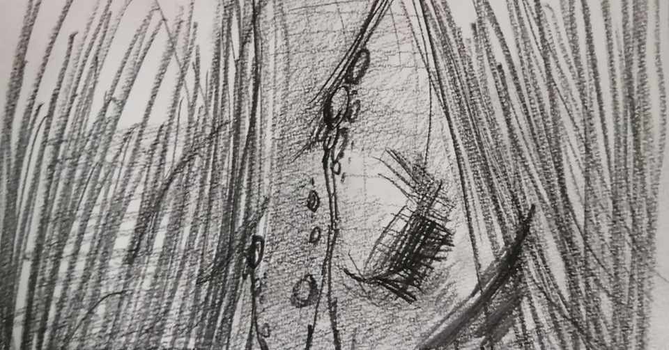 鉛筆でひたすら描く 描く 描く 亀井善真 Zenshin Kamei Note