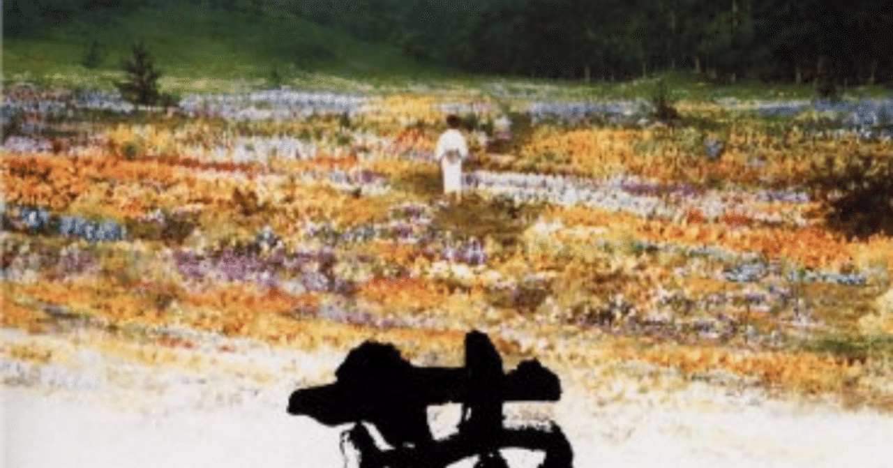 夢 【20年ぶりの夢】｜平野クララ🧸