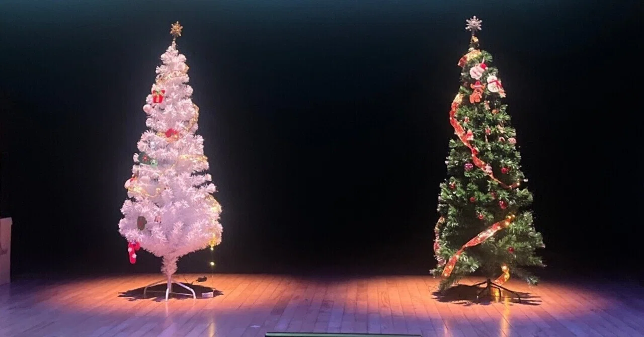 2人の軌跡～奇跡のクリスマスイベントを終えて～｜ころ