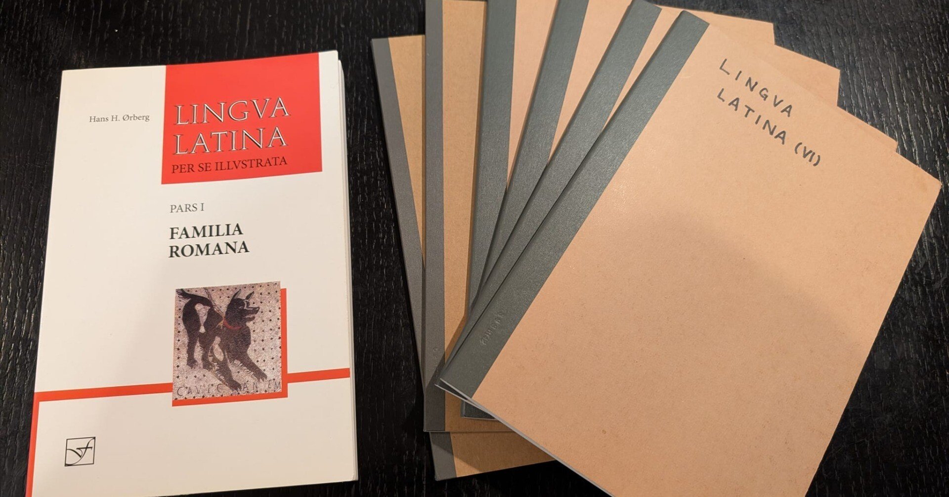私はどのように言語・言語学を学んだか 2024年版｜algas