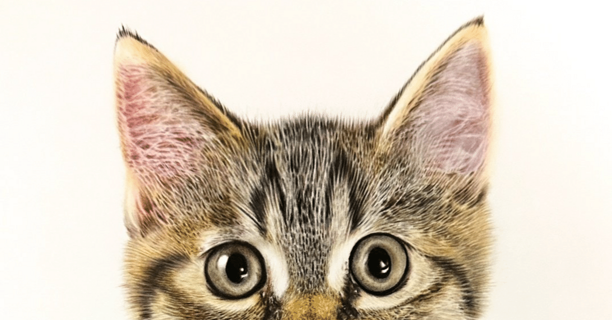 Catの発音・・・難しいワケ｜Yuki_LittleReaders