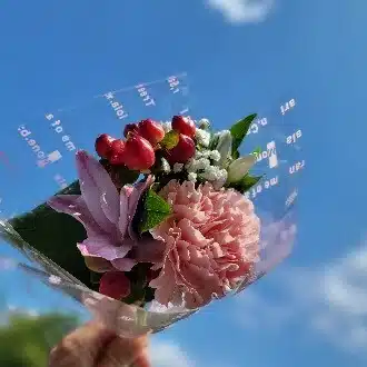 日頃のわたし