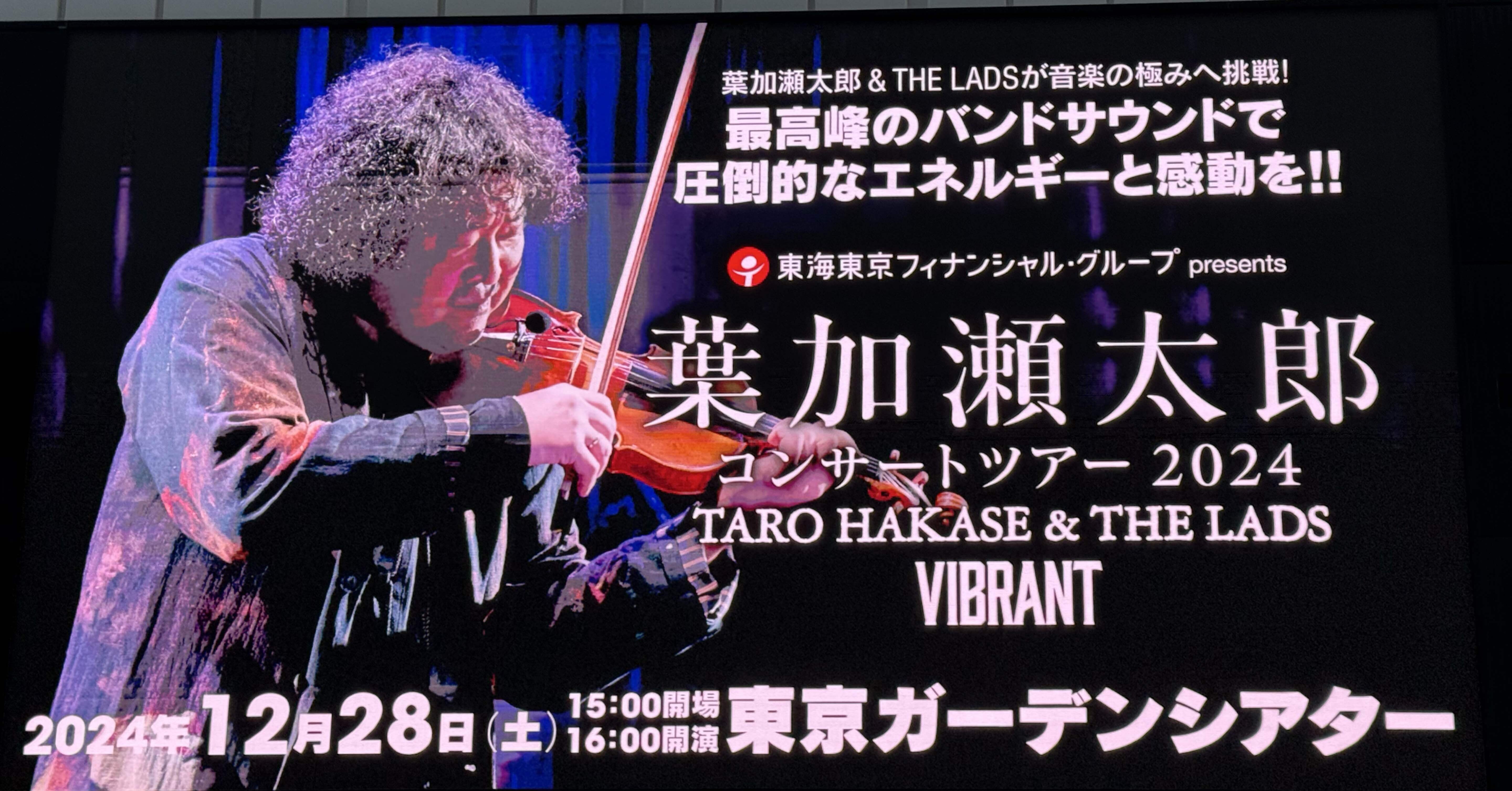 即日発送！2024年購入 1/8葉加瀬太郎さんお勧めニコロサンティ 即日発送！2024年購入 1/8葉加瀬太郎さんお勧めニコロサンティ