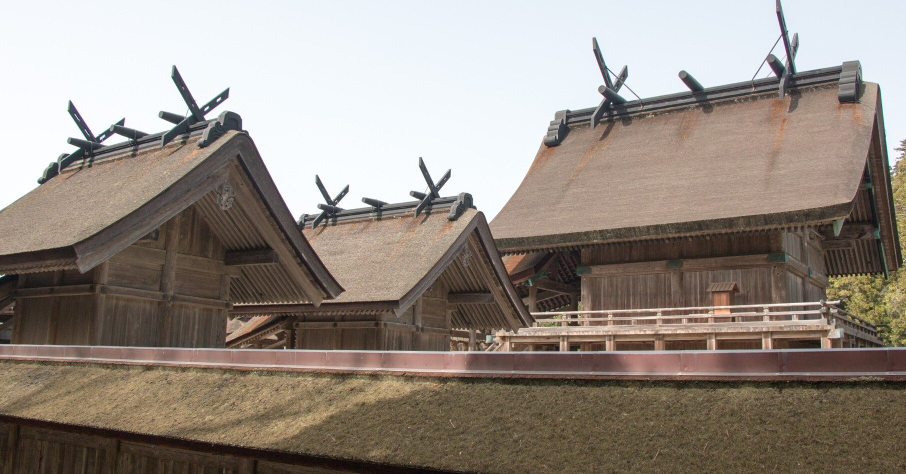 出雲大社｜KazTak