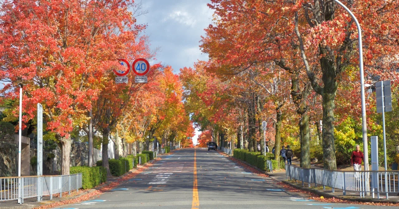北摂地域の秋模様【お出かけ写真】|文化的な生活を営む