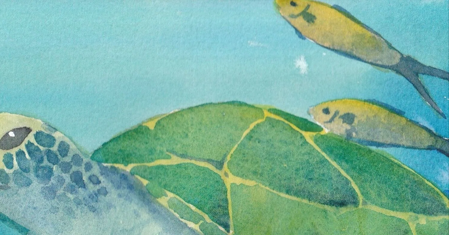 絵画、油彩、F6号、沖縄の2匹泳ぐ海亀、佐原聖春 UESHIMA MUSEUM 絵画、油彩、F6号、沖縄の2匹泳ぐ海亀、佐原聖春 UESHIMA MUSEUM