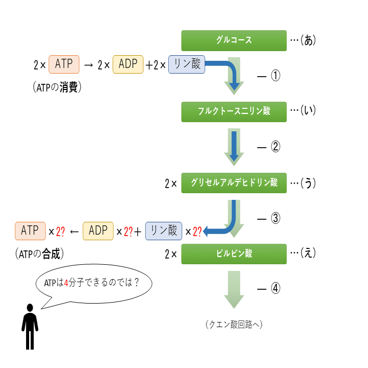 代謝のこと 問題集の解説のこと なまもの Note