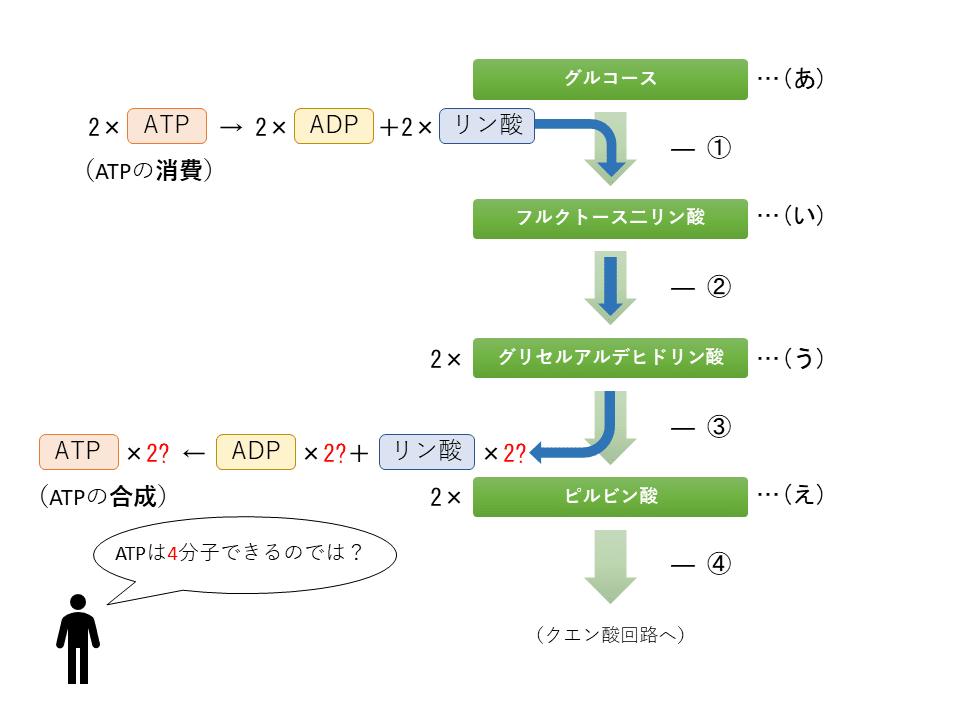 代謝のこと 問題集の解説のこと なまもの Note 代謝のこと 問題集の解説のこと なまもの Note